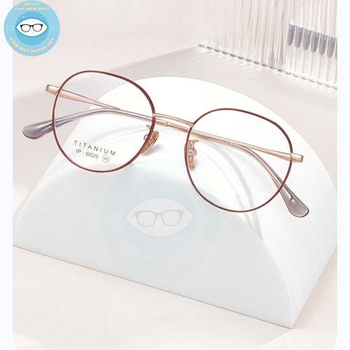 gọng kim loại mã 6020